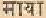 picmaya.jpg (661 bytes)