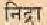 picnidra.jpg (810 bytes)