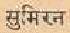 picsumiran.jpg (1075 bytes)
